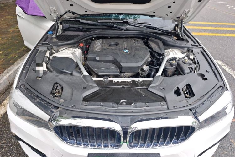 Used BMW 5 Series 2018 Restyled 530Li Leading Edition M Sport Package Engine Bay