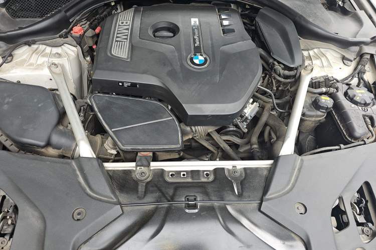 Used BMW 5 Series 2018 530Li Luxury Edition M Sport Package Engine Bay