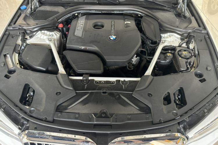 Used BMW 5 Series 2018 Facelifted 530Li Luxury Edition Premium Package Engine Bay