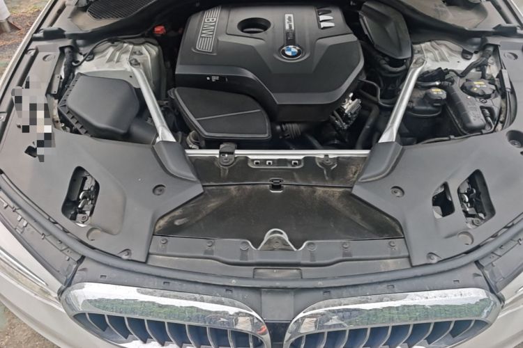 Used BMW 5 Series 2018 Facelifted 530Li Luxury Edition Premium Package Engine Bay