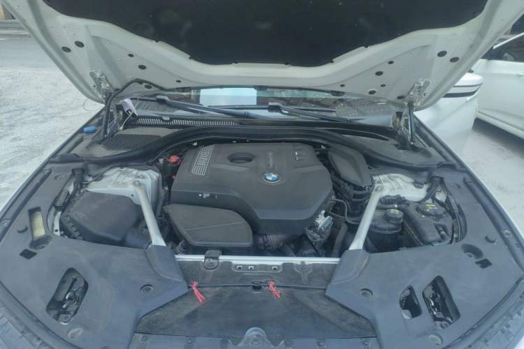Used BMW 5 Series 2018 525Li M Sport Package Engine Bay