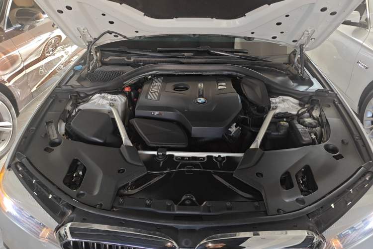 Used BMW 5 Series 2018 Facelifted 530Li xDrive M Sport Package Engine Bay