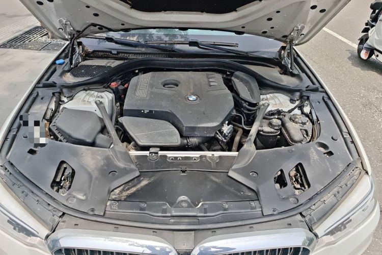 Used BMW 5 Series 2018 530Li Leading Edition Luxury Package Engine Bay