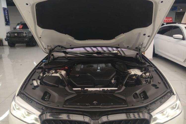 Used BMW 5 Series 2018 530Li Luxury Edition M Sport Package Engine Bay