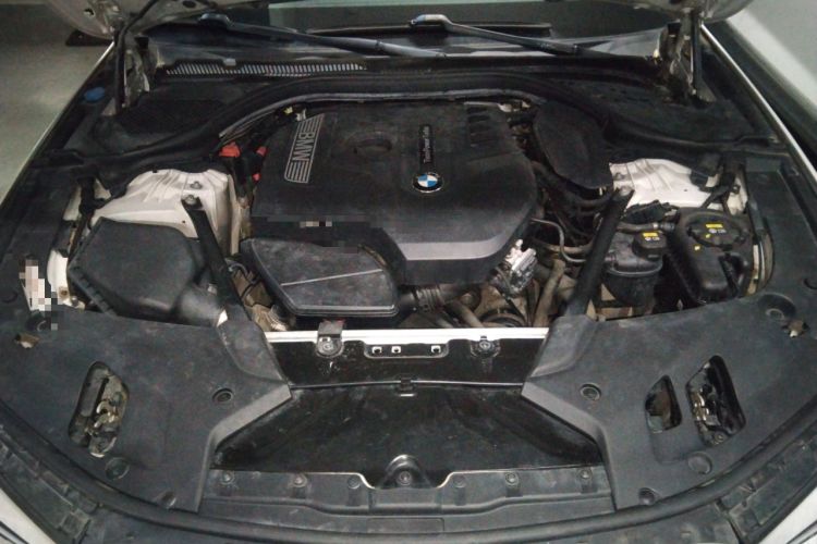 Used BMW 5 Series 2018 Restyled 530Li Luxury Edition M Sport Package Engine Bay