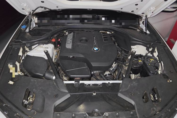 Used BMW 5 Series 2018 530Li Luxury Edition M Sport Package Engine Bay