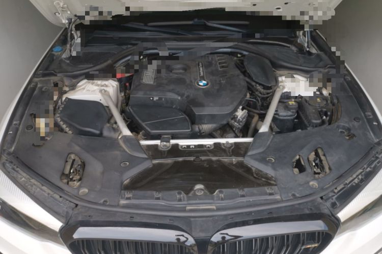 Used BMW 5 Series 2018 Restyled 530Li Leading Edition M Sport Package Engine Bay