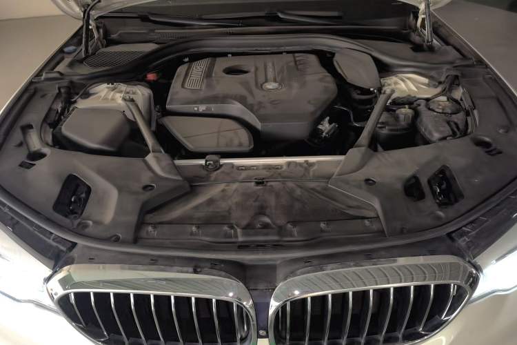 Used BMW 5 Series 2018 Facelifted 530Li Luxury Edition Premium Package Engine Bay