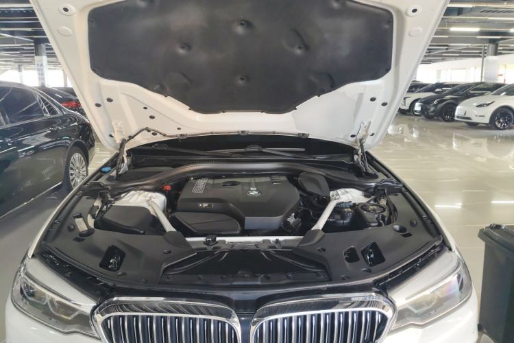 Used BMW 5 Series 2018 Revised Version 530Li Leading Edition Luxury Package Engine Bay