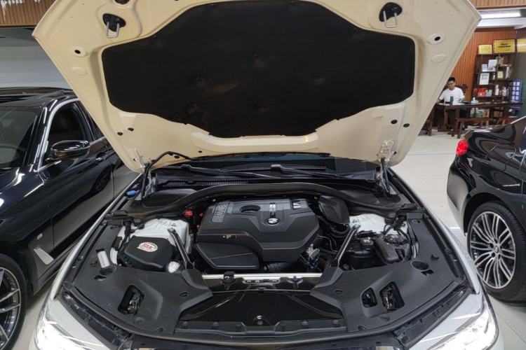 Used BMW 5 Series 2018 530Li Luxury Edition M Sport Package Engine Bay