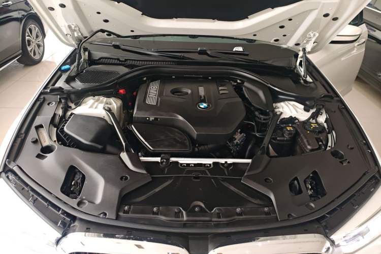 Used BMW 5 Series 2018 Restyled 530Li Luxury Edition M Sport Package Engine Bay