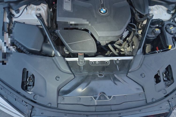 Used BMW 5 Series 2018 530Li Luxury Edition M Sport Package Engine Bay