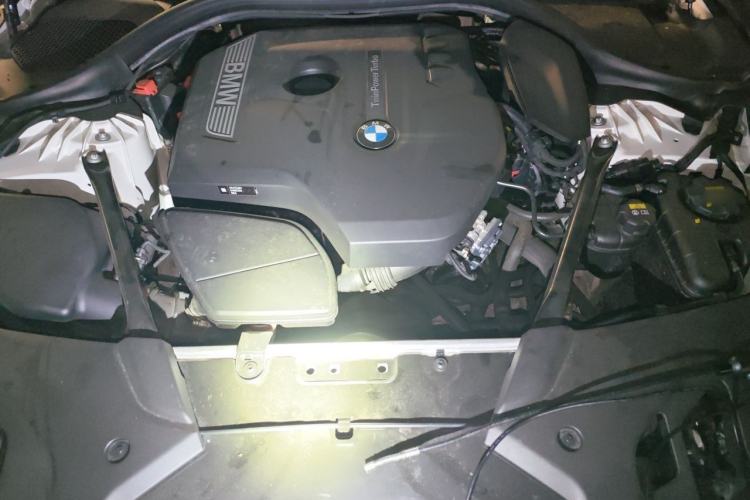 Used BMW 5 Series 2018 Restyled 530Li Luxury Edition M Sport Package Engine Bay