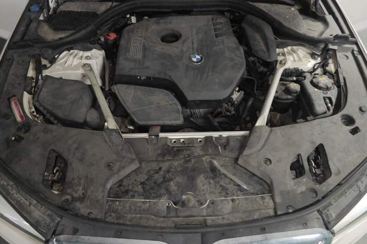 Used BMW 5 Series 2018 525Li M Sport Package Engine Bay