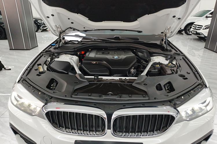 Used BMW 5 Series 2018 Facelifted 530Li xDrive M Sport Package Engine Bay