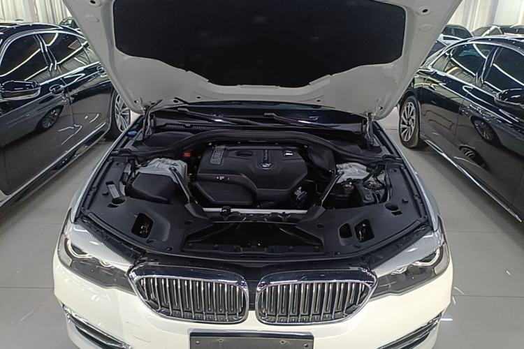 Used BMW 5 Series 2018 530Li Leading Edition Luxury Package Engine Bay