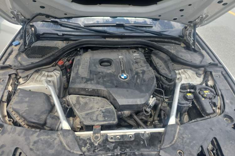 Used BMW 5 Series 2018 Restyled 530Li Luxury Edition M Sport Package Engine Bay
