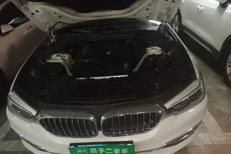Used BMW 5 Series 2018 Facelifted 530Li Luxury Edition Premium Package Engine Bay