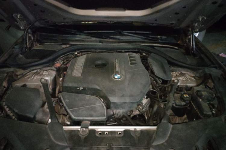 Used BMW 5 Series 2018 530Li Leading Edition Luxury Package Engine Bay