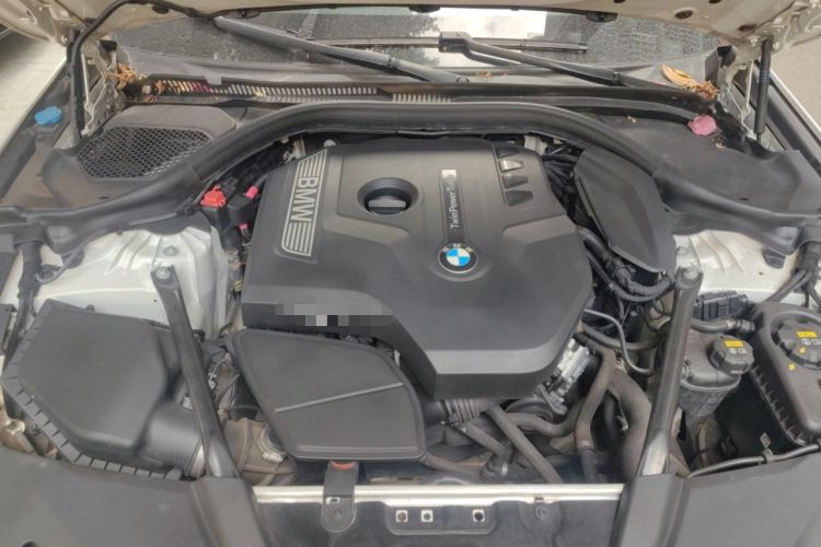 Used BMW 5 Series 2018 530Li Luxury Edition Premium Package Engine Bay