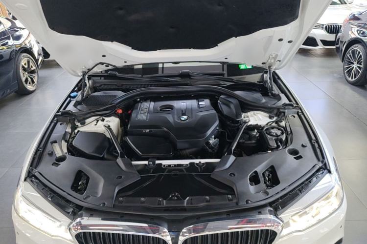 Used BMW 5 Series 2018 530Li Luxury Edition M Sport Package Engine Bay