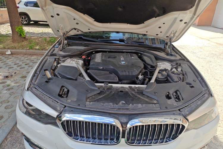 Used BMW 5 Series 2018 530Li Leading Edition Luxury Package Engine Bay