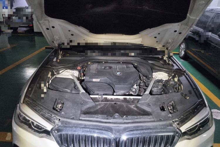 Used BMW 5 Series 2018 Restyled 530Li Leading Edition M Sport Package Engine Bay