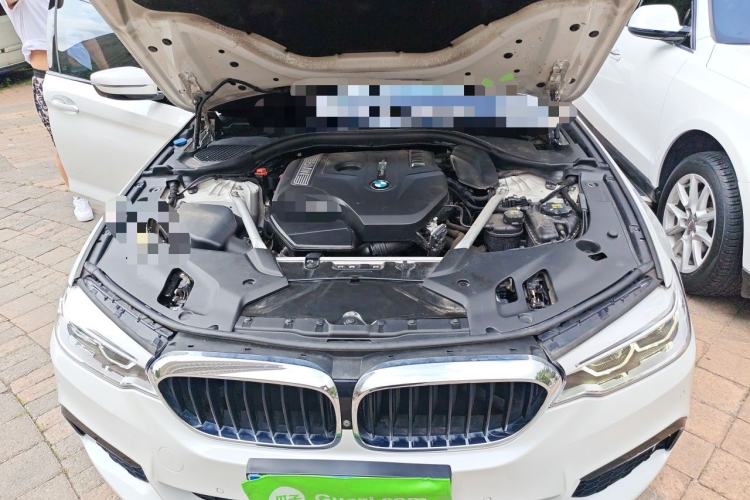 Used BMW 5 Series 2018 Restyled 530Li Luxury Edition M Sport Package Engine Bay