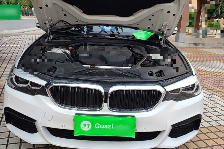 Used BMW 5 Series 2018 530Li Leading Model M Sport Package Engine Bay