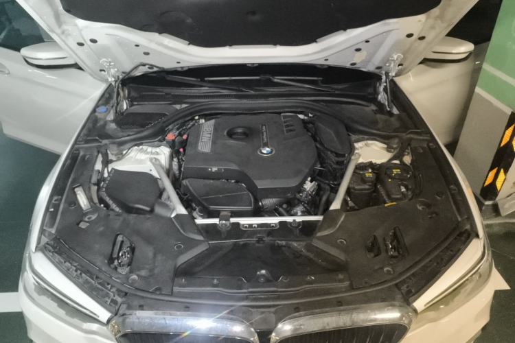 Used BMW 5 Series 2018 Restyled 530Li Luxury Edition M Sport Package Engine Bay