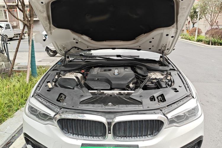 Used BMW 5 Series 2018 530Li Luxury Edition M Sport Package Engine Bay