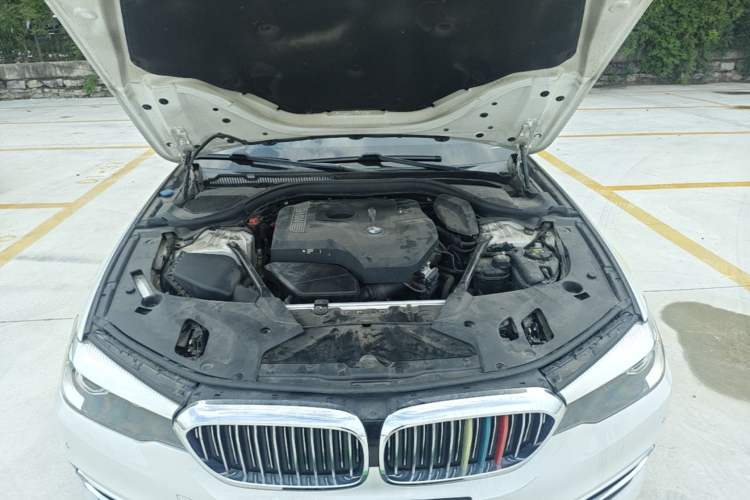 Used BMW 5 Series 2018 530Li Leading Edition Luxury Package Engine Bay