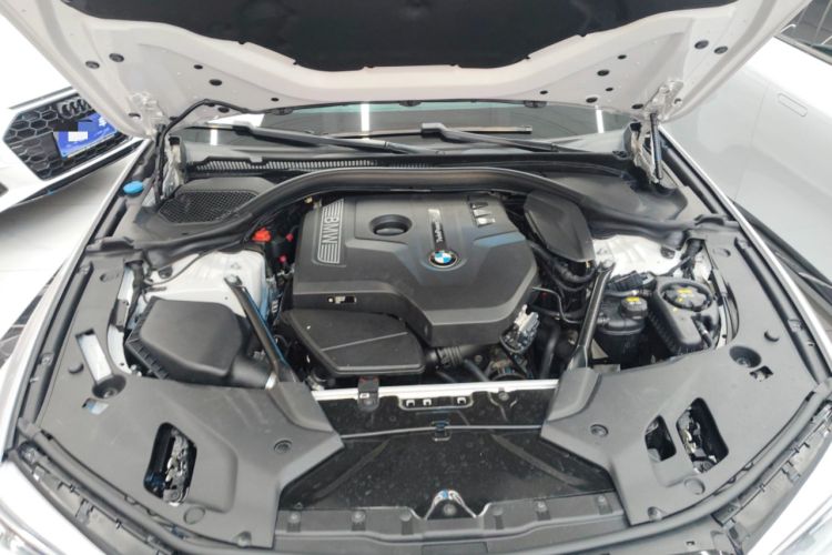 Used BMW 5 Series 2018 530Li Luxury Edition M Sport Package Engine Bay