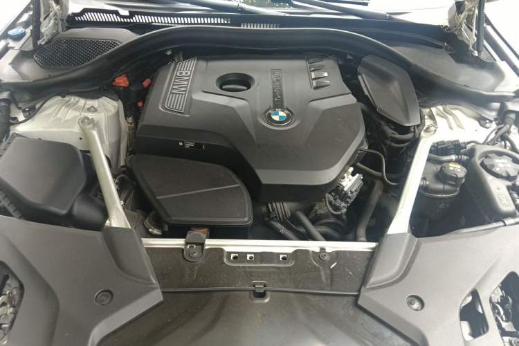 Used BMW 5 Series 2018 Restyled 530Li Luxury Edition M Sport Package Engine Bay