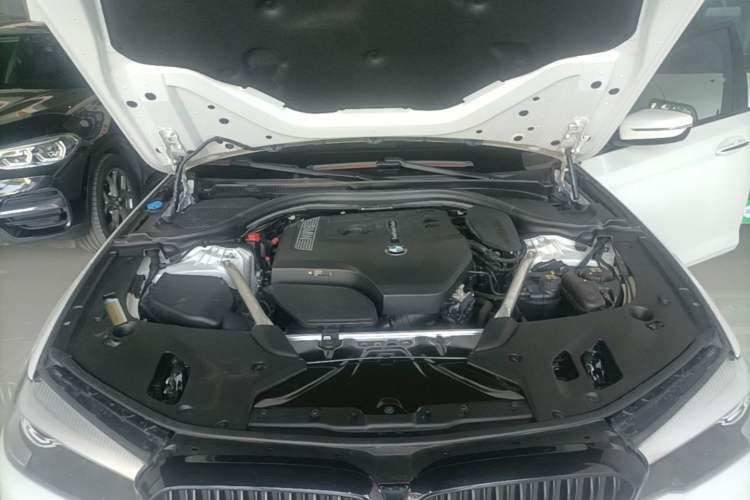 Used BMW 5 Series 2018 525Li M Sport Package Engine Bay