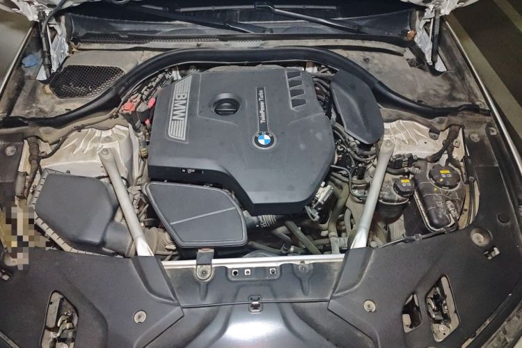 Used BMW 5 Series 2018 530Li Leading Edition Luxury Package Engine Bay