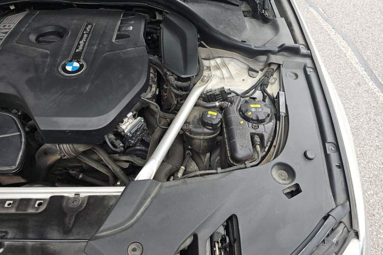 Used BMW 5 Series 2018 530Li Luxury Edition M Sport Package Engine Bay Left