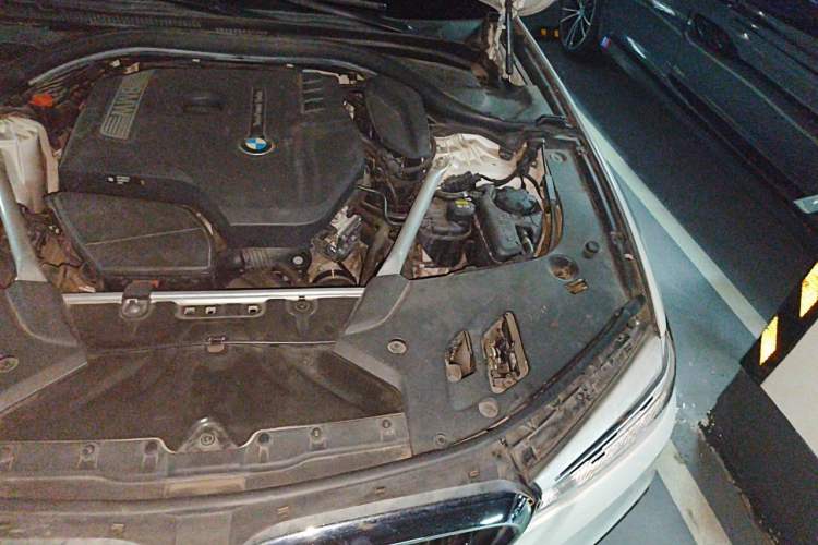 Used BMW 5 Series 2018 525Li M Sport Package Engine Bay Left