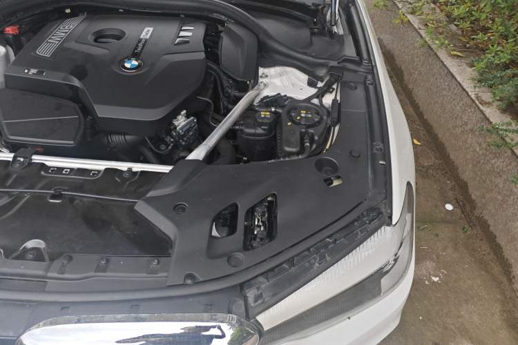 Used BMW 5 Series 2018 Revised Version 530Li Leading Edition Luxury Package Engine Bay Left