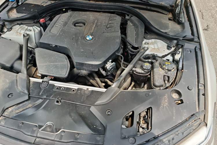 Used BMW 5 Series 2018 530Li Leading Edition Luxury Package Engine Bay Left