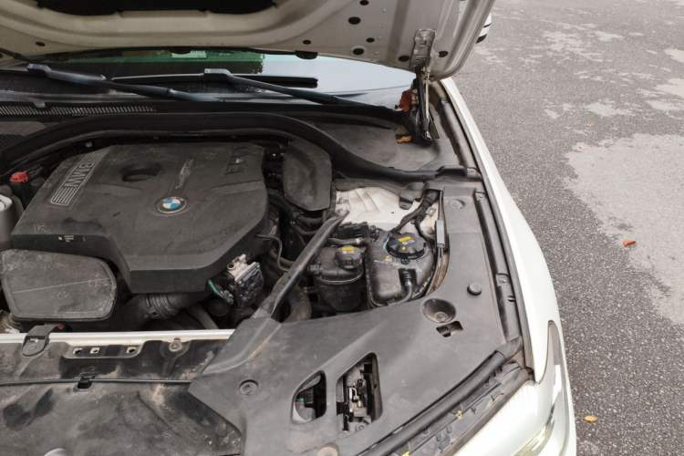 Used BMW 5 Series 2018 528Li Launch Special Edition Engine Bay Left