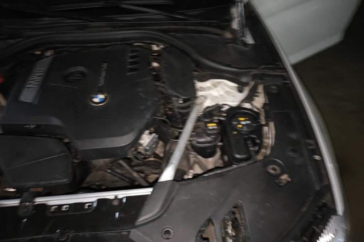 Used BMW 5 Series 2018 525Li Luxury Package Engine Bay Left