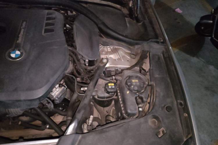 Used BMW 5 Series 2018 530Li Leading Edition Luxury Package Engine Bay Left