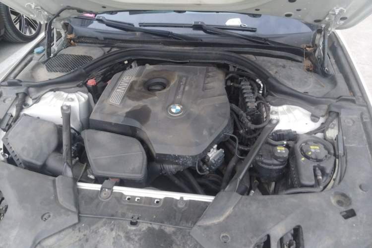 Used BMW 5 Series 2018 Restyled 530Li Leading Edition M Sport Package Engine Bay Left