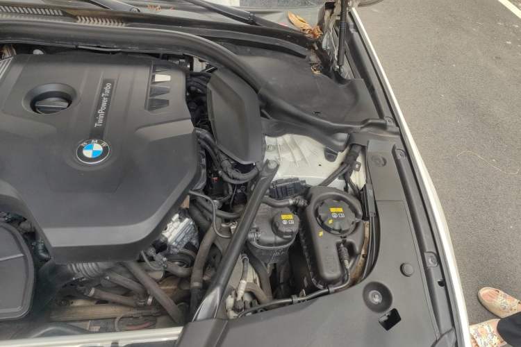 Used BMW 5 Series 2018 530Li Luxury Edition Premium Package Engine Bay Left