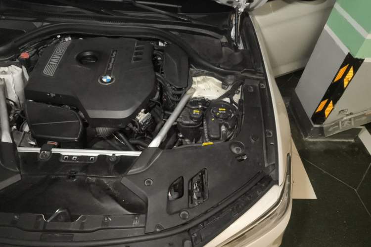Used BMW 5 Series 2018 Restyled 530Li Luxury Edition M Sport Package Engine Bay Left