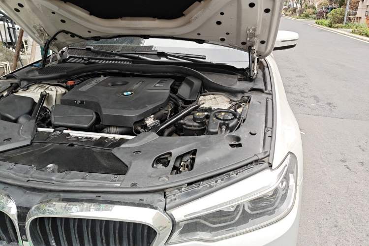 Used BMW 5 Series 2018 530Li Luxury Edition M Sport Package Engine Bay Left