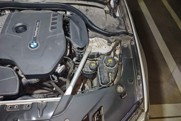 Used BMW 5 Series 2018 530Li Leading Edition Luxury Package Engine Bay Left