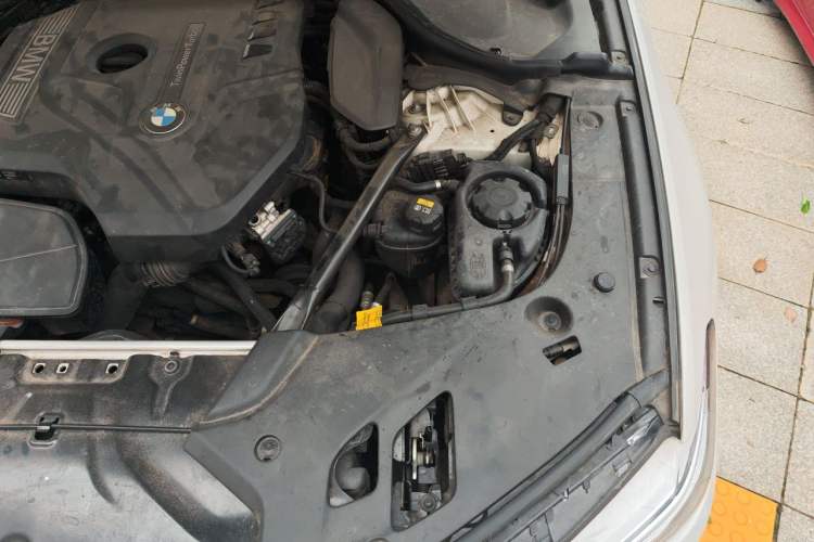 Used BMW 5 Series 2018 Revised Version 530Li Leading Edition Luxury Package Engine Bay Left