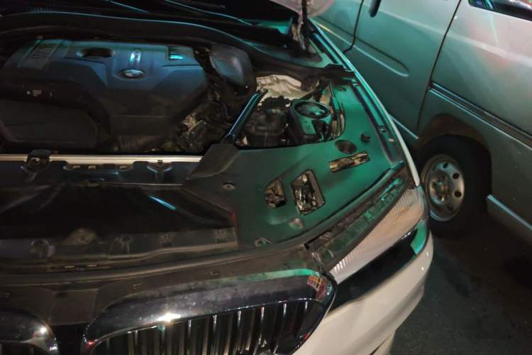 Used BMW 5 Series 2018 528Li Launch Special Edition Engine Bay Left